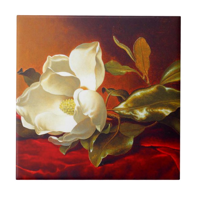 Carreau Magnolia sur velours rouge Martin Johnson Heade (Devant)