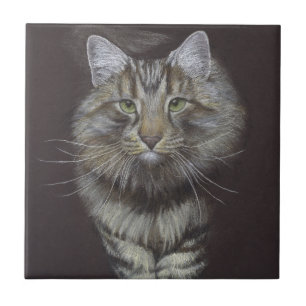Carreau Maine Coon