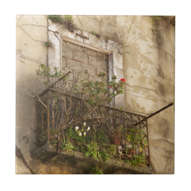 Carreau Maison ancienne abandonnée (Devant)