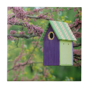 Carreau Maison d'oiseau sur un arbre Redbud