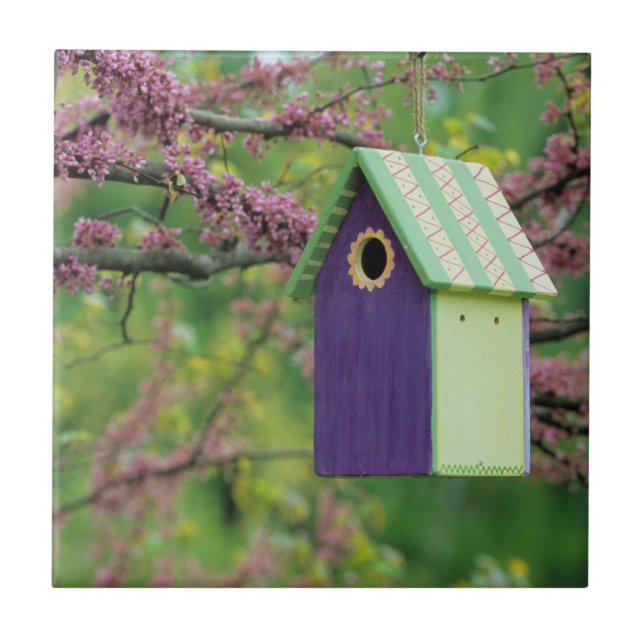 Carreau Maison d'oiseau sur un arbre Redbud (Devant)
