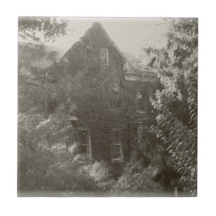 Carreau Maison hantée !