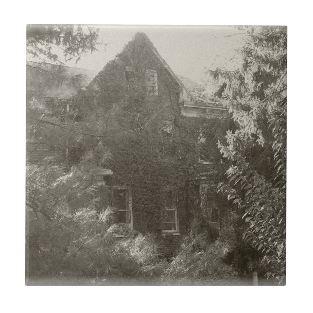 Carreau Maison hantée ! (Devant)