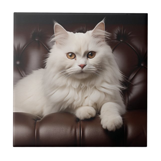 Carreau Majestic white cat (Devant)