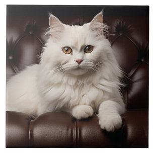 Carreau Majestic white cat