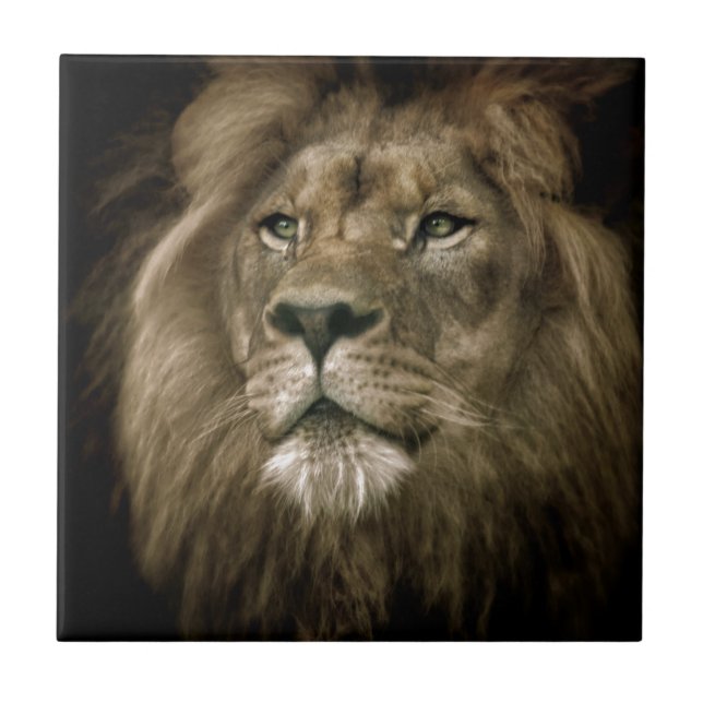 Carreau Majesty.jpg (Devant)