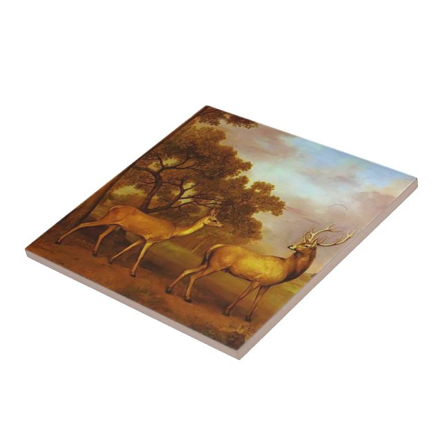 Carreau Mâle de cerfs communs rouges de George Stubbs- et (Côté)