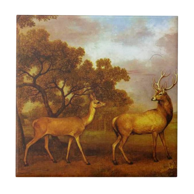 Carreau Mâle de cerfs communs rouges et de derrière par (Devant)