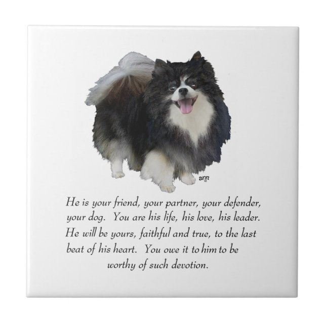 Carreau Mâle Pomeranian Keepsake (Devant)