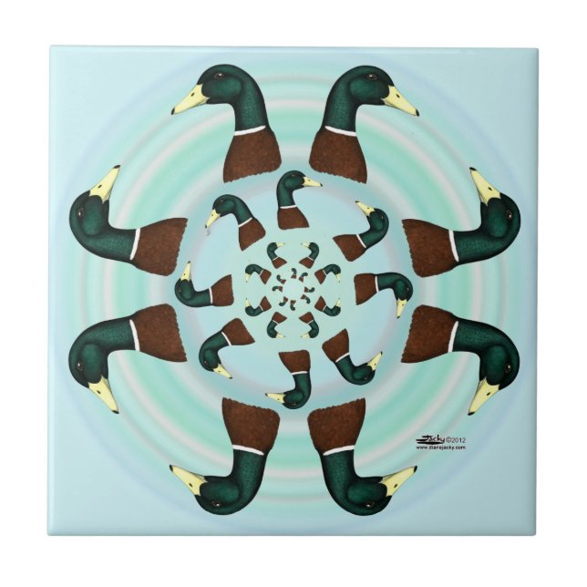 Carreau Mallards Galore ! (Devant)