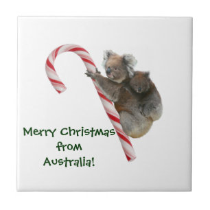 Carreau Maman et Joey Koala Sucre de canne Noël