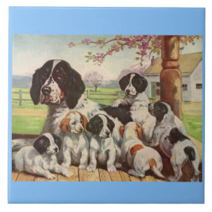 Carreau mamie spaniel et chiots