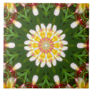 Carreau Mandala de Fleur de Plumeria avec Symétrie Tropica