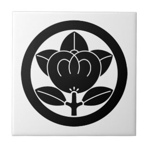 Carreau Mandarin orange dans un cercle