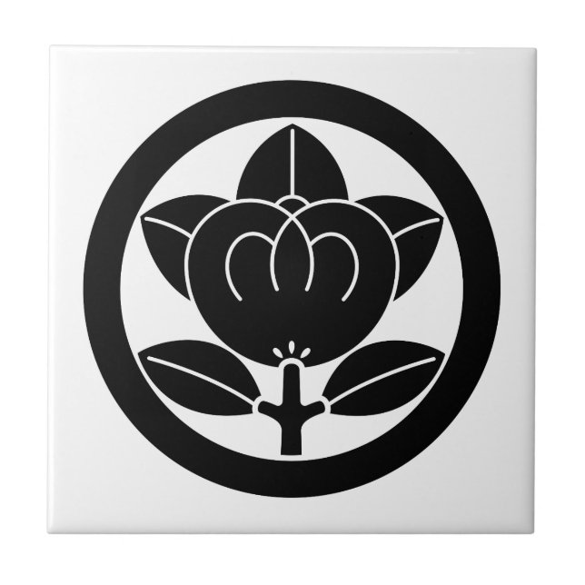 Carreau Mandarin orange dans un cercle (Devant)