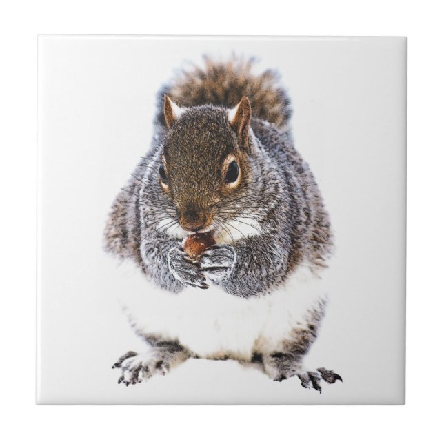 Carreau Manger l'écureuil (Devant)