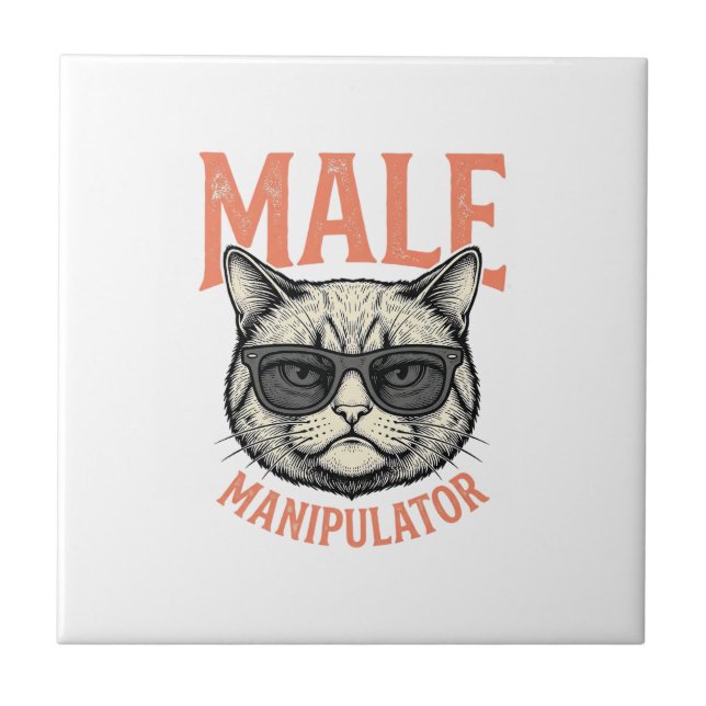 Carreau Manipulateur Masculin Lunettes de Soleil Chat Drôl (Devant)