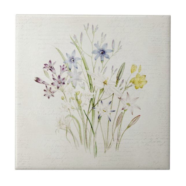 Carreau Manuscrit peint de cru de bouquet de fleur de (Devant)