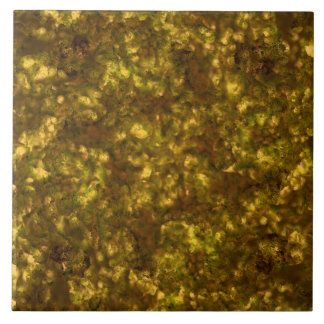 Carreau Marbre de fumée métallique d'or