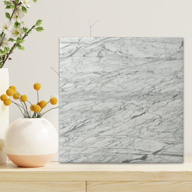 Carreau marbre gris chic et minimaliste (minimalist stylish modern chic grey marble ceramic tile)