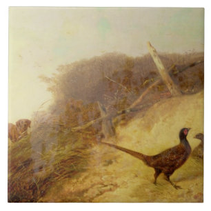 Carreau Marche vers le haut des faisans sur le ęr octobre