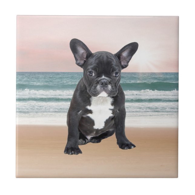 Carreau Mare French Bulldog Beach Eau Soleil (Devant)