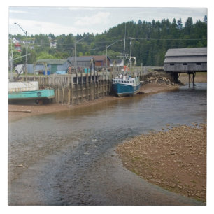 Carreau Marée basse dans la baie de Fundy à St. Martins,