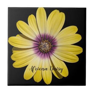 Carreau Marguerite africaine jaune sur fond floral noir
