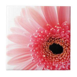 Carreau Marguerite Gerbera rose 