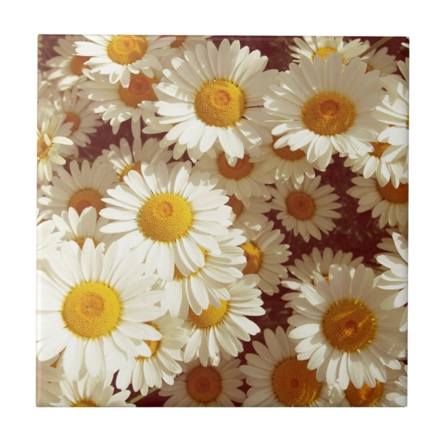 Carreau Marguerites anciennes (Devant)