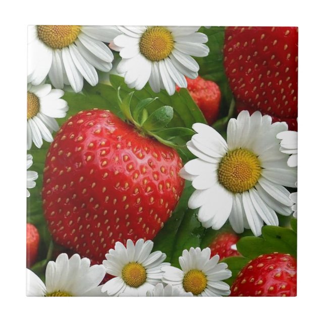 Carreau Marguerites et fraises (Devant)
