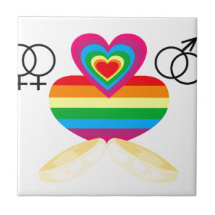 Carreau mariage gay
