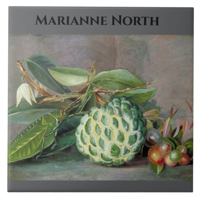 Carreau Marianne North Custard Peinture à la pomme (Devant)