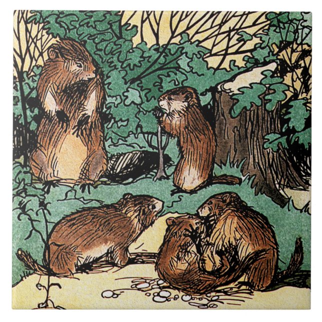 Carreau Marmotte - Famille Marmot (Devant)