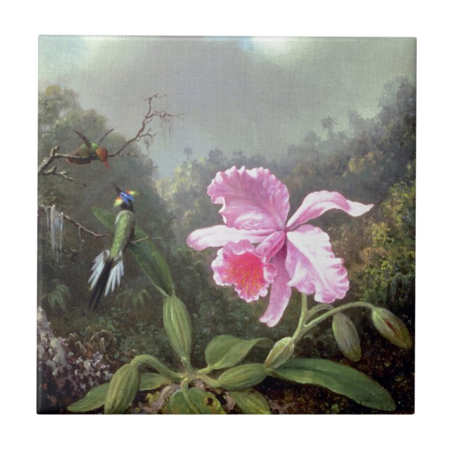 Carreau Martin Johnson Heade Orchid Et Hummingbirds (Devant)