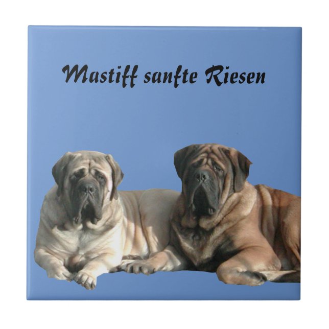 Carreau Mastiff Vacances English Mastiff (Devant)
