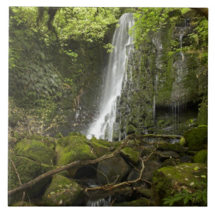 Carreau Matai Falls, Catlins, sud d'Otago