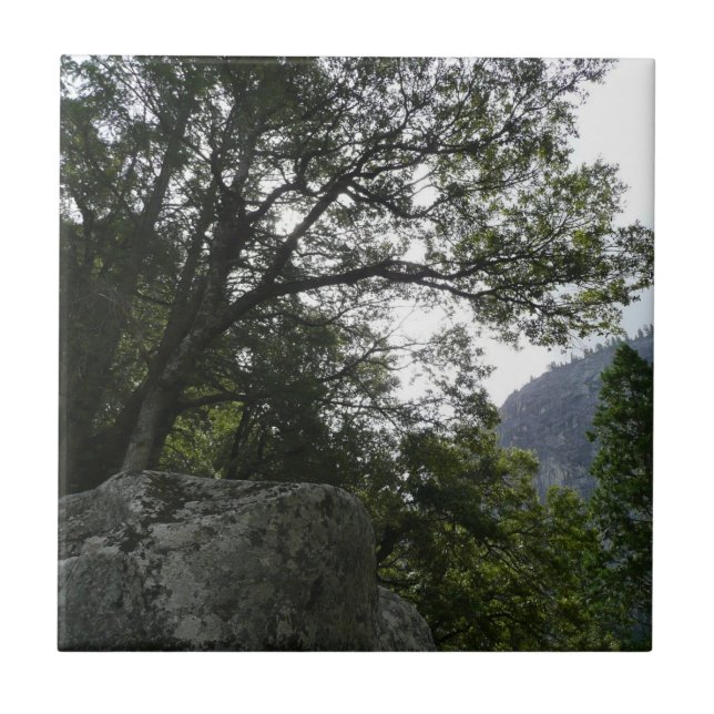 Carreau Matin sur le sentier menant à Vernal Falls dans Yo (Devant)