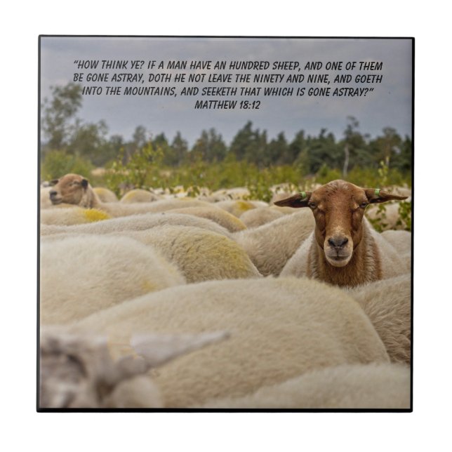 Carreau Matthieu 18:12 (Devant)