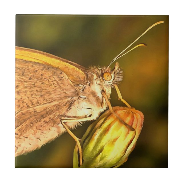 Carreau Meadow Brown Beau Papillon Art (Devant)