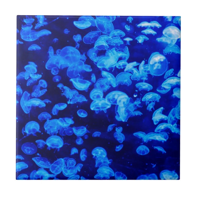 Carreau Méduse bleue (Devant)