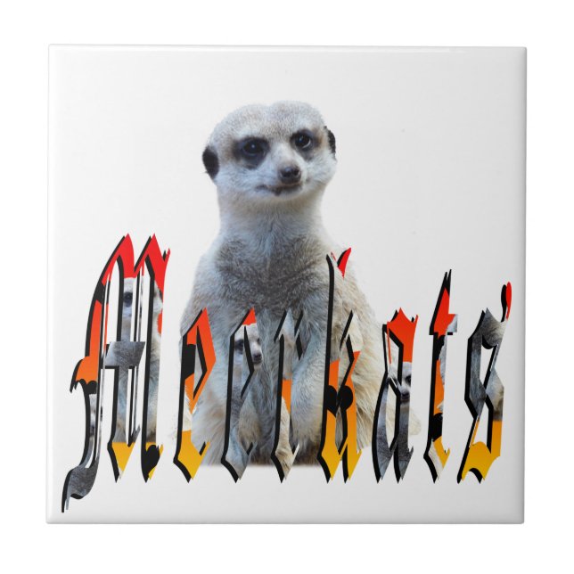 Carreau "Meerkats : Debout Fière derrière le nom" (Devant)