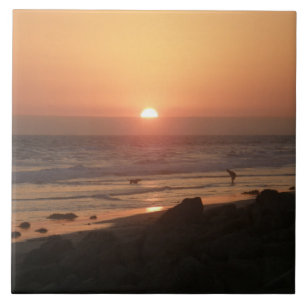 Carreau Meilleurs amis à la plage