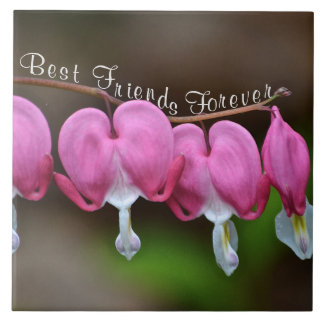 Carreau Meilleurs amis pour toujours