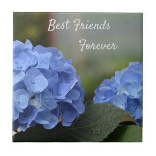 Carreau Meilleurs amis pour toujours Hydrangeas