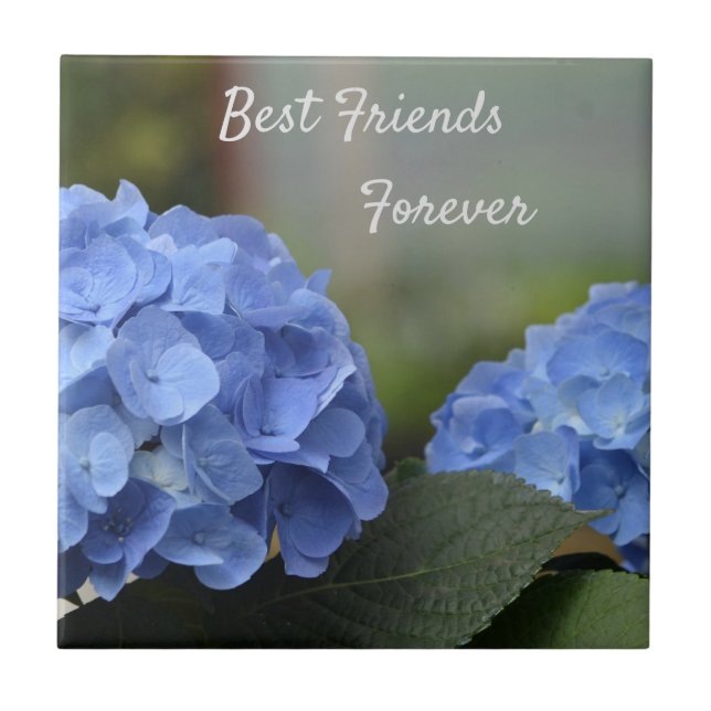 Carreau Meilleurs amis pour toujours Hydrangeas (Devant)