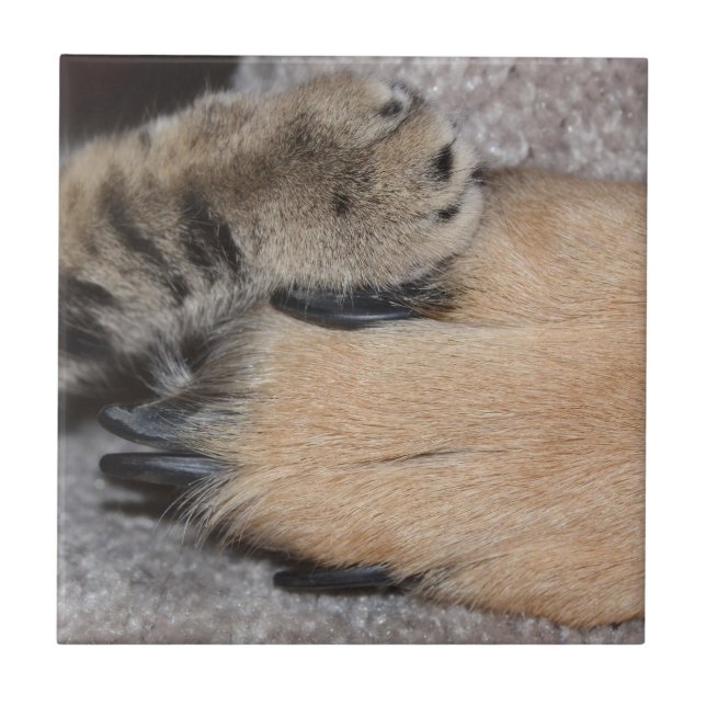 Carreau Meilleurs amis pour toujours par Shirley Taylor (Devant)