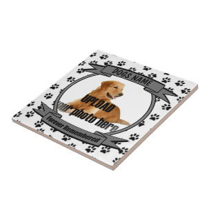 Carreau Mémorial des chiens dont on se souvient