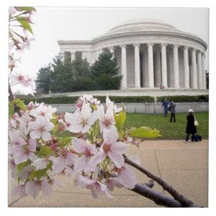 Carreau Mémorial Thomas Jefferson avec cerisiers en fleurs