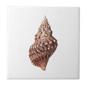 Carreau Mer Shell non 1 cadeau à la maison de décor de